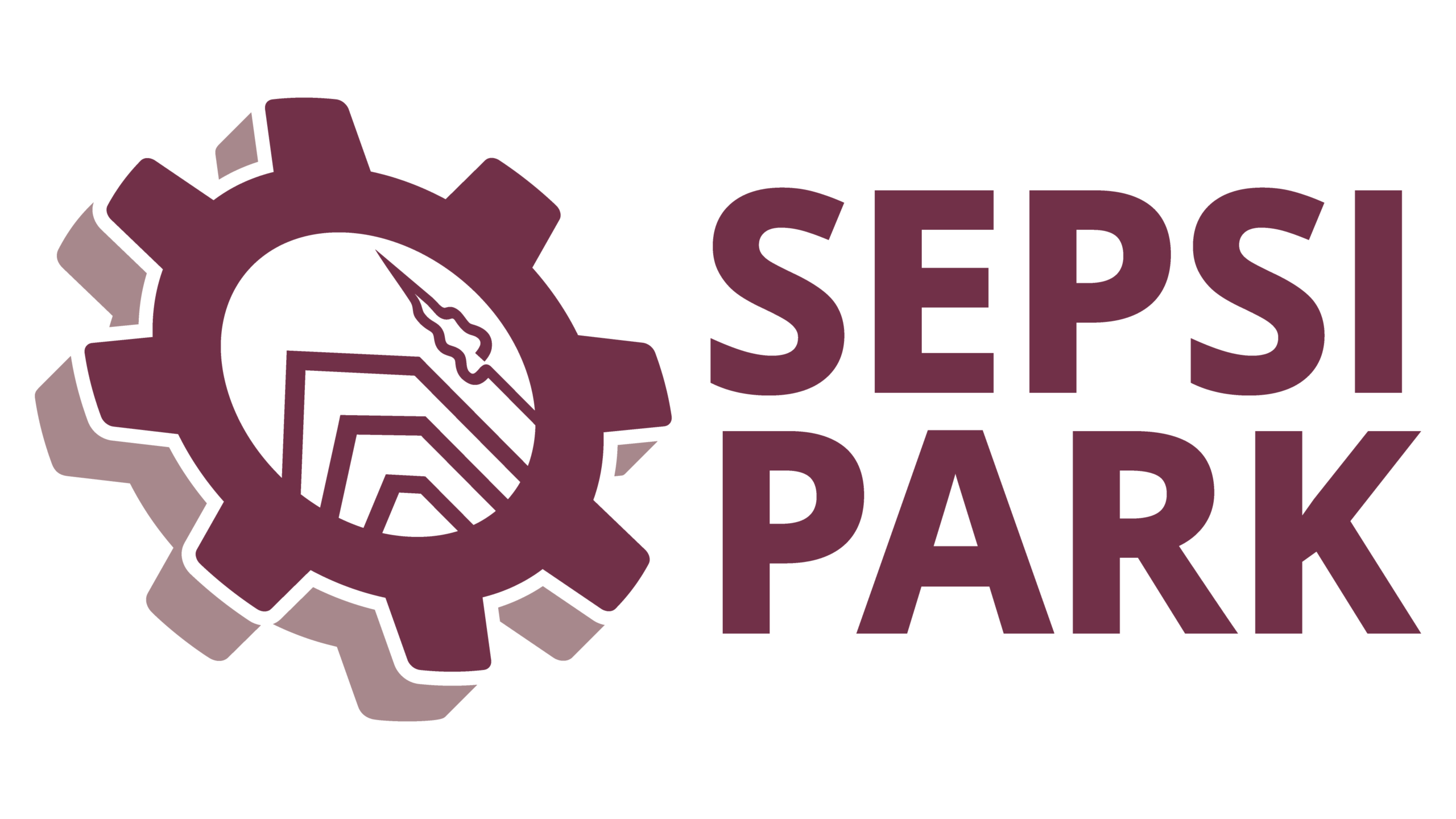 Sepsi Park